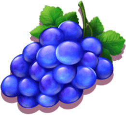 Trauben Symbol - dunkelblau-lila Weintrauben